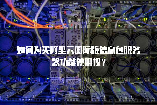 如何购买阿里云国际版信息包服务器功能使用权?