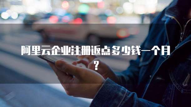 阿里云企业注册返点多少钱一个月?