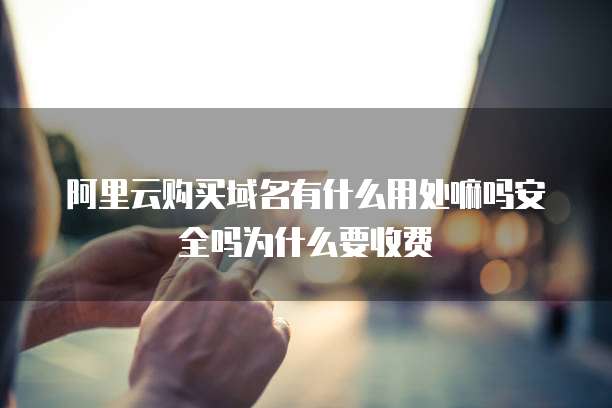 阿里云购买域名有什么用处嘛吗安全吗为什么要收费