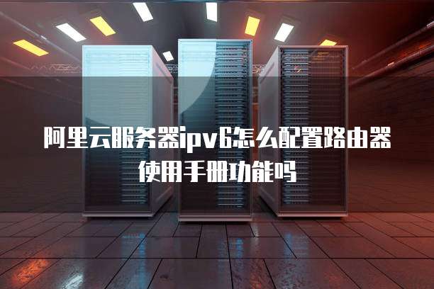 阿里云服务器ipv6怎么配置路由器使用手册功能吗