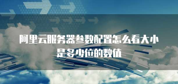 阿里云服务器参数配置怎么看大小是多少位的数值