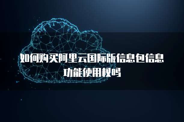 如何购买阿里云国际版信息包信息功能使用权吗