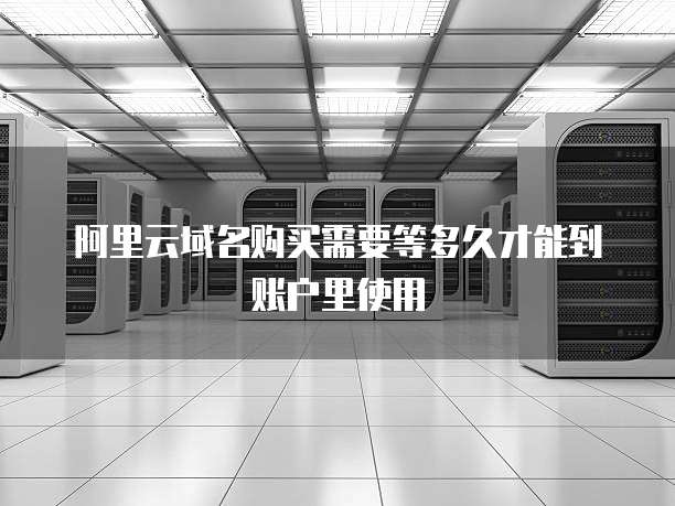 阿里云域名购买需要等多久才能到账户里使用