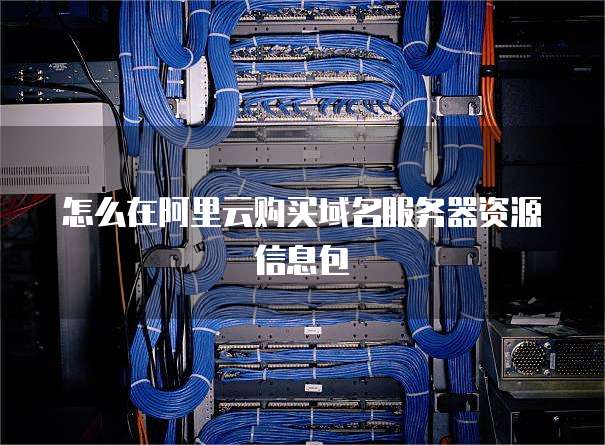 怎么在阿里云购买域名服务器资源信息包