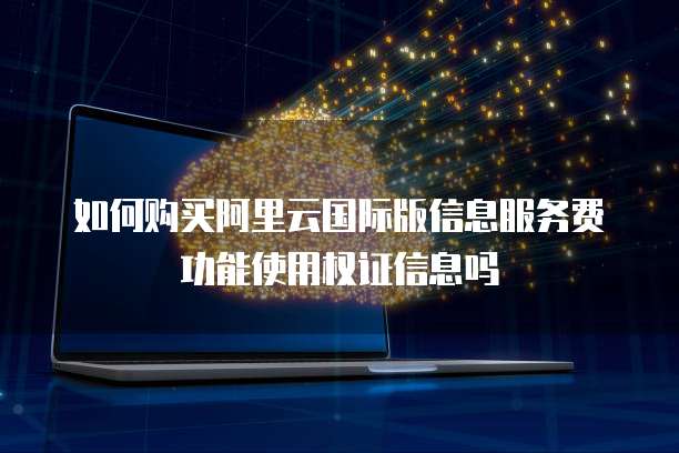 如何购买阿里云国际版信息服务费功能使用权证信息吗