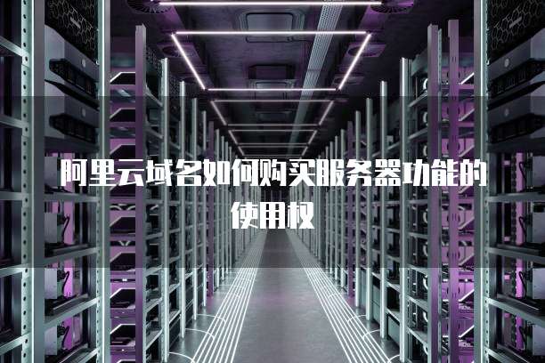 阿里云域名如何购买服务器功能的使用权