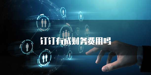 钉钉有成财务费用吗