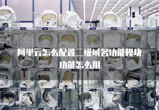 阿里云怎么配置二级域名功能模块功能怎么用