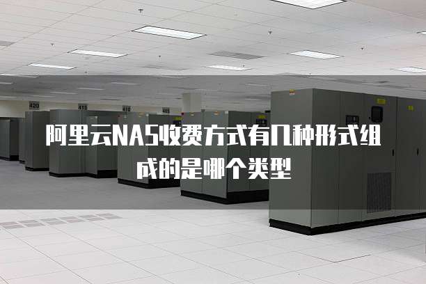 阿里云NAS收费方式有几种形式组成的是哪个类型