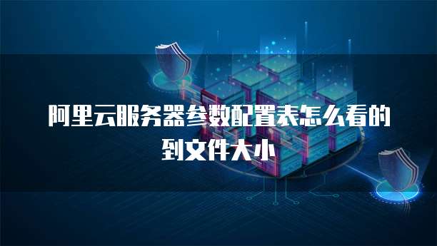 阿里云服务器参数配置表怎么看的到文件大小