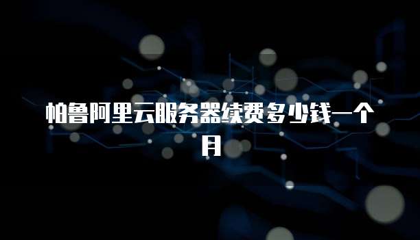 帕鲁阿里云服务器续费多少钱一个月