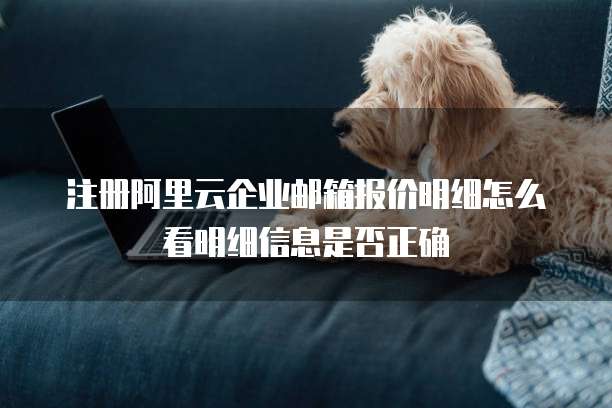 注册阿里云企业邮箱报价明细怎么看明细信息是否正确