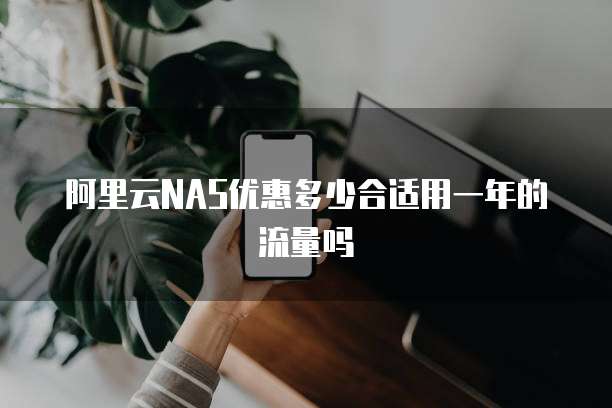 阿里云NAS优惠多少合适用一年的流量吗