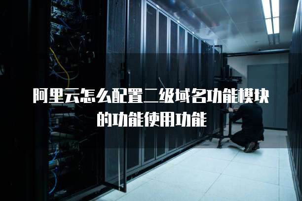 阿里云怎么配置二级域名功能模块的功能使用功能