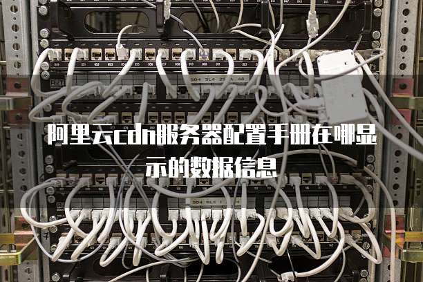 阿里云cdn服务器配置手册在哪显示的数据信息