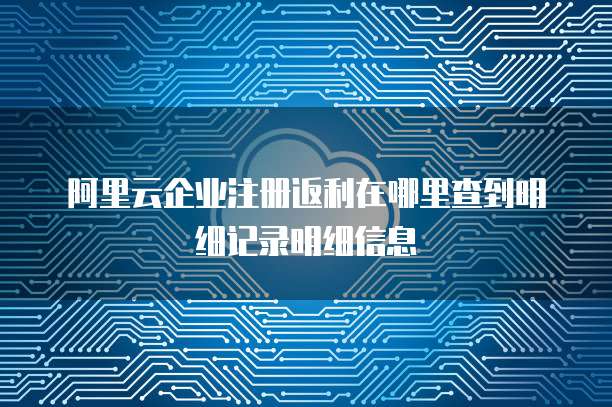 阿里云企业注册返利在哪里查到明细记录明细信息