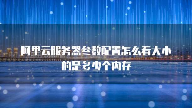 阿里云服务器参数配置怎么看大小的是多少个内存