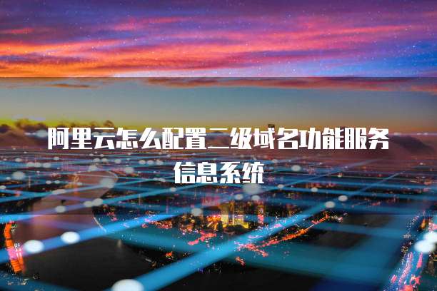 阿里云怎么配置二级域名功能服务信息系统