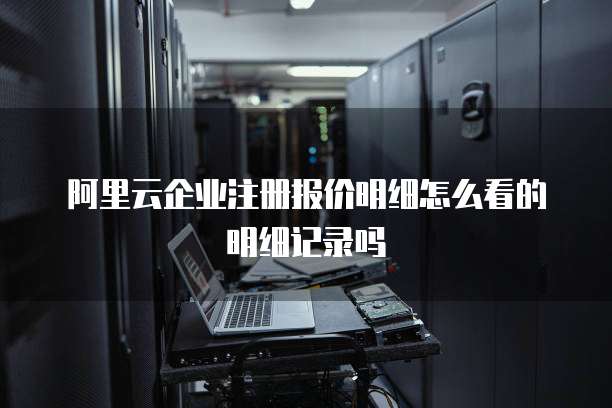阿里云企业注册报价明细怎么看的明细记录吗