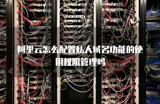 阿里云怎么配置私人域名功能的使用权限管理吗