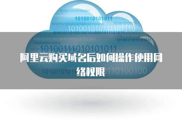 阿里云购买域名后如何操作使用网络权限