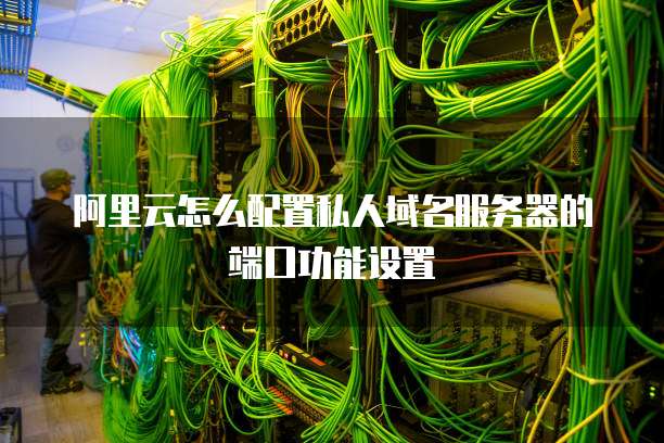 阿里云怎么配置私人域名服务器的端口功能设置