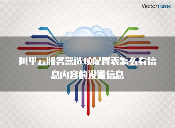 阿里云服务器选项配置表怎么看信息内容的设置信息
