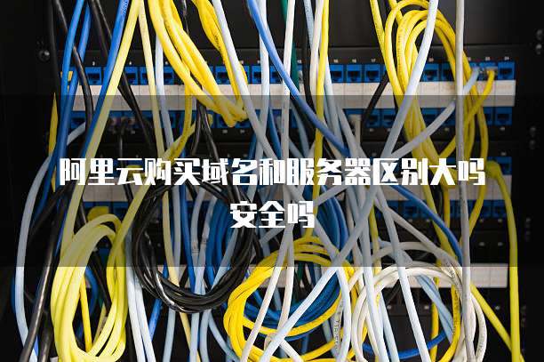 阿里云购买域名和服务器区别大吗安全吗