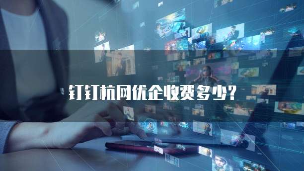 钉钉杭网优企收费多少?