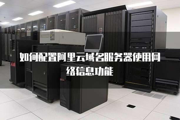 如何配置阿里云域名服务器使用网络信息功能