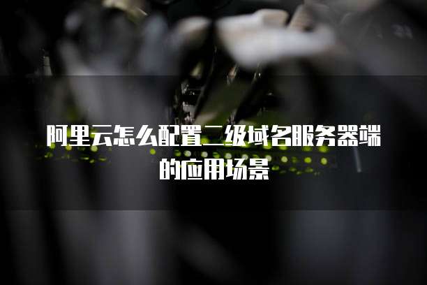 阿里云怎么配置二级域名服务器端的应用场景