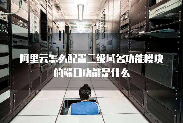 阿里云怎么配置二级域名功能模块的端口功能是什么