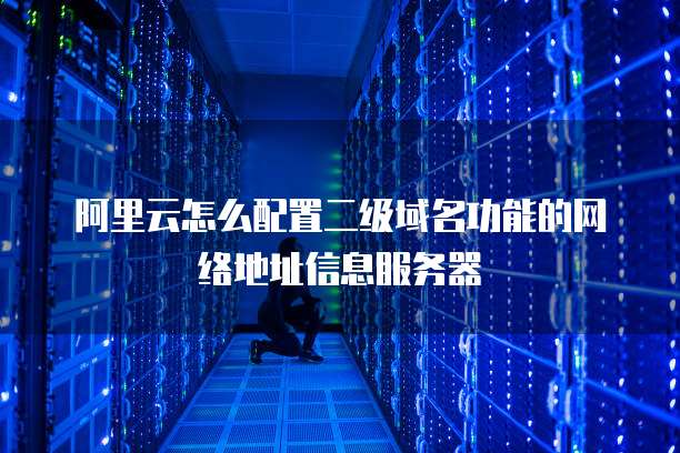 阿里云怎么配置二级域名功能的网络地址信息服务器