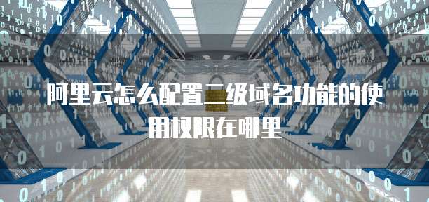 阿里云怎么配置二级域名功能的使用权限在哪里