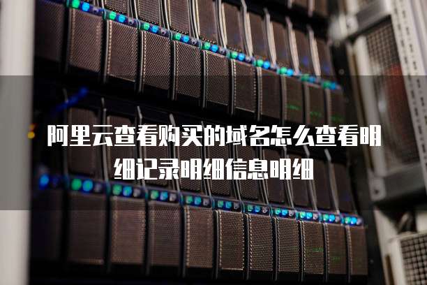 阿里云查看购买的域名怎么查看明细记录明细信息明细