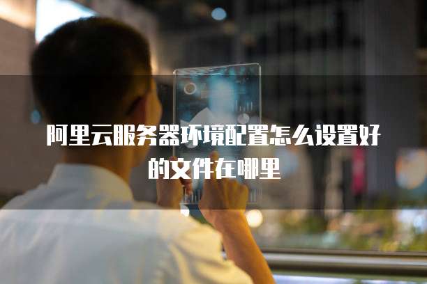 阿里云服务器环境配置怎么设置好的文件在哪里