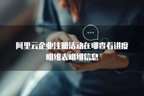 阿里云企业注册活动在哪查看进度明细表明细信息