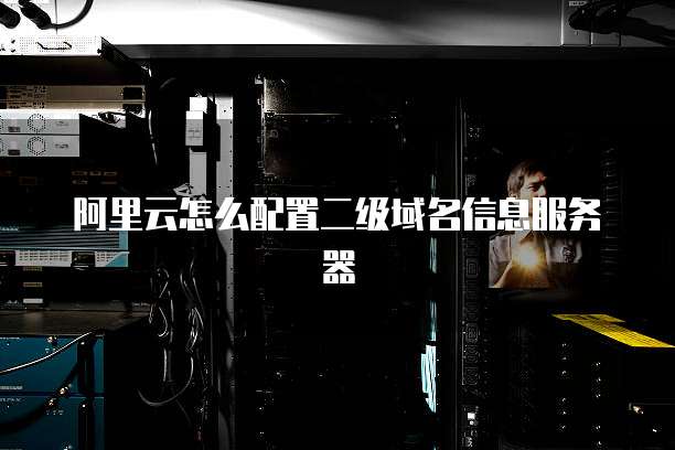 阿里云怎么配置二级域名信息服务器