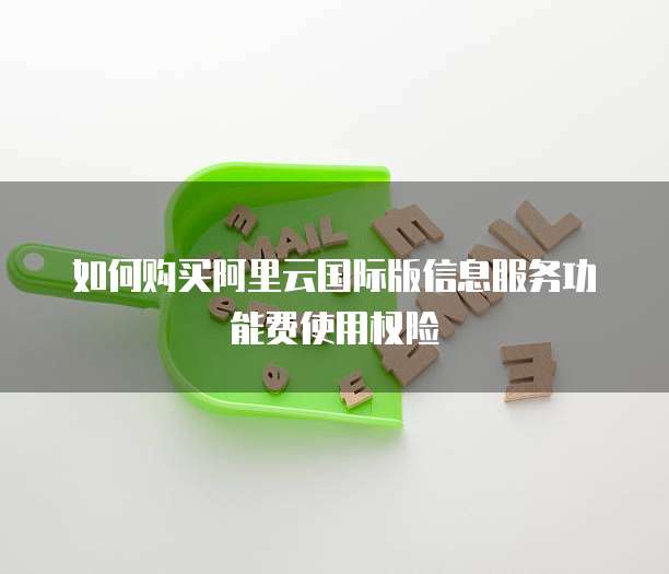 如何购买阿里云国际版信息服务功能费使用权险