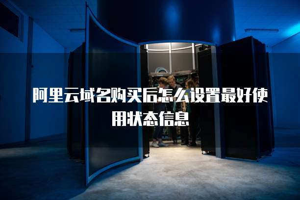 阿里云域名购买后怎么设置最好使用状态信息
