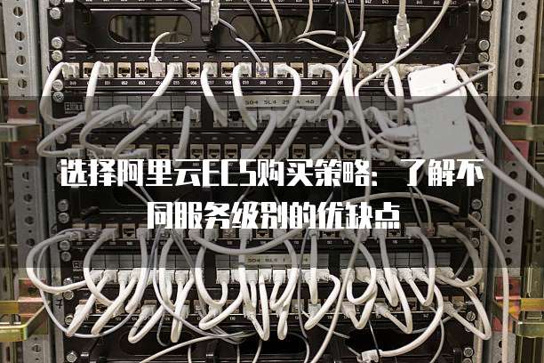 选择阿里云ECS购买策略：了解不同服务级别的优缺点