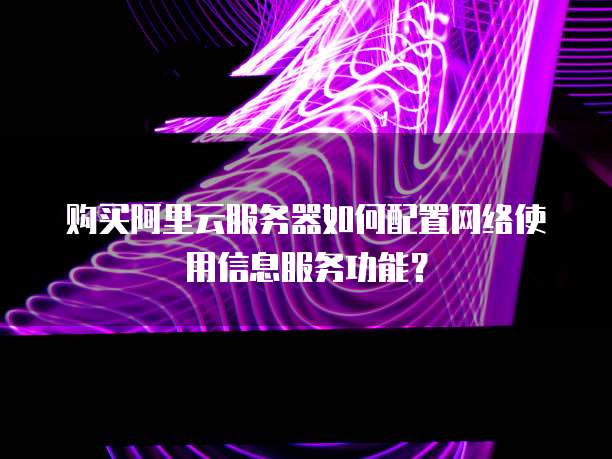 购买阿里云服务器如何配置网络使用信息服务功能?