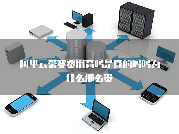 阿里云带宽费用高吗是真的吗吗为什么那么贵