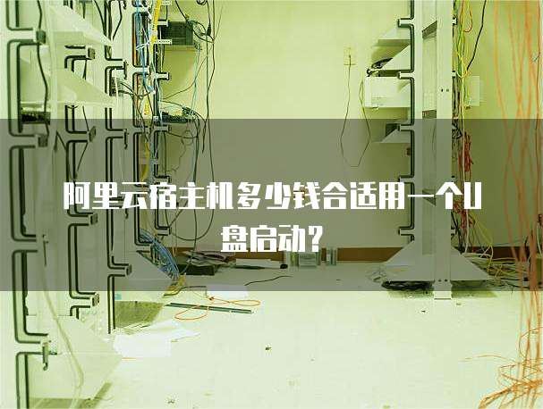 阿里云宿主机多少钱合适用一个U盘启动?