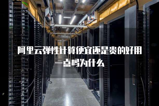 阿里云弹性计算便宜还是贵的好用一点吗为什么
