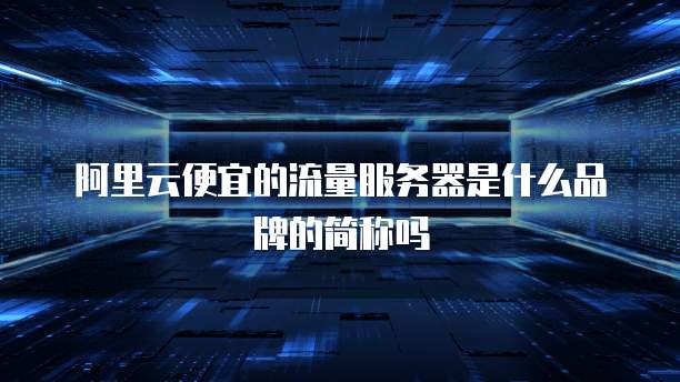 阿里云便宜的流量服务器是什么品牌的简称吗