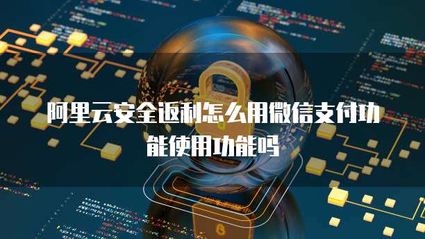阿里云安全返利怎么用微信支付功能使用功能吗