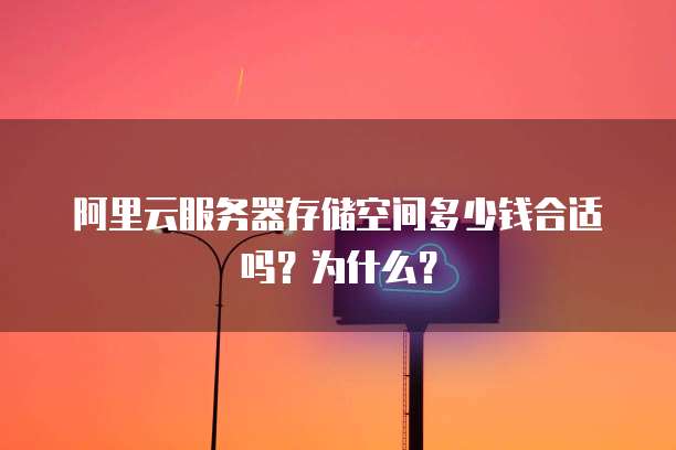 阿里云服务器存储空间多少钱合适吗?为什么?