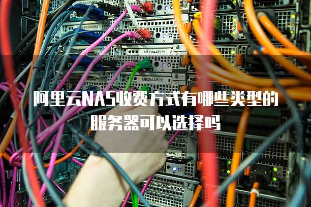 阿里云NAS收费方式有哪些类型的服务器可以选择吗