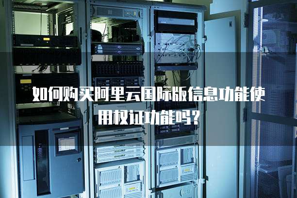 如何购买阿里云国际版信息功能使用权证功能吗？